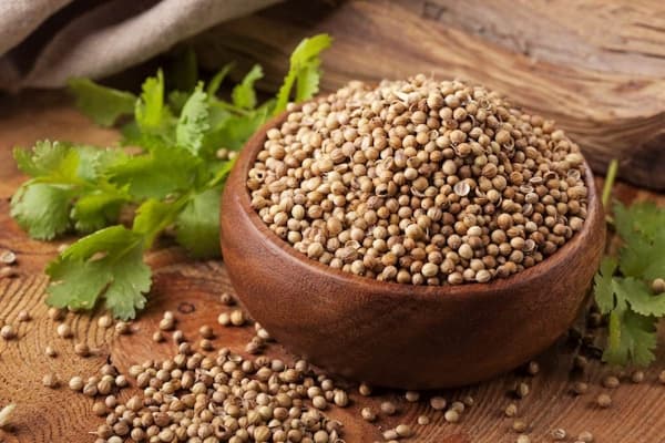 فروش تخم گشنیز درجه یک از مزارع نهاوند